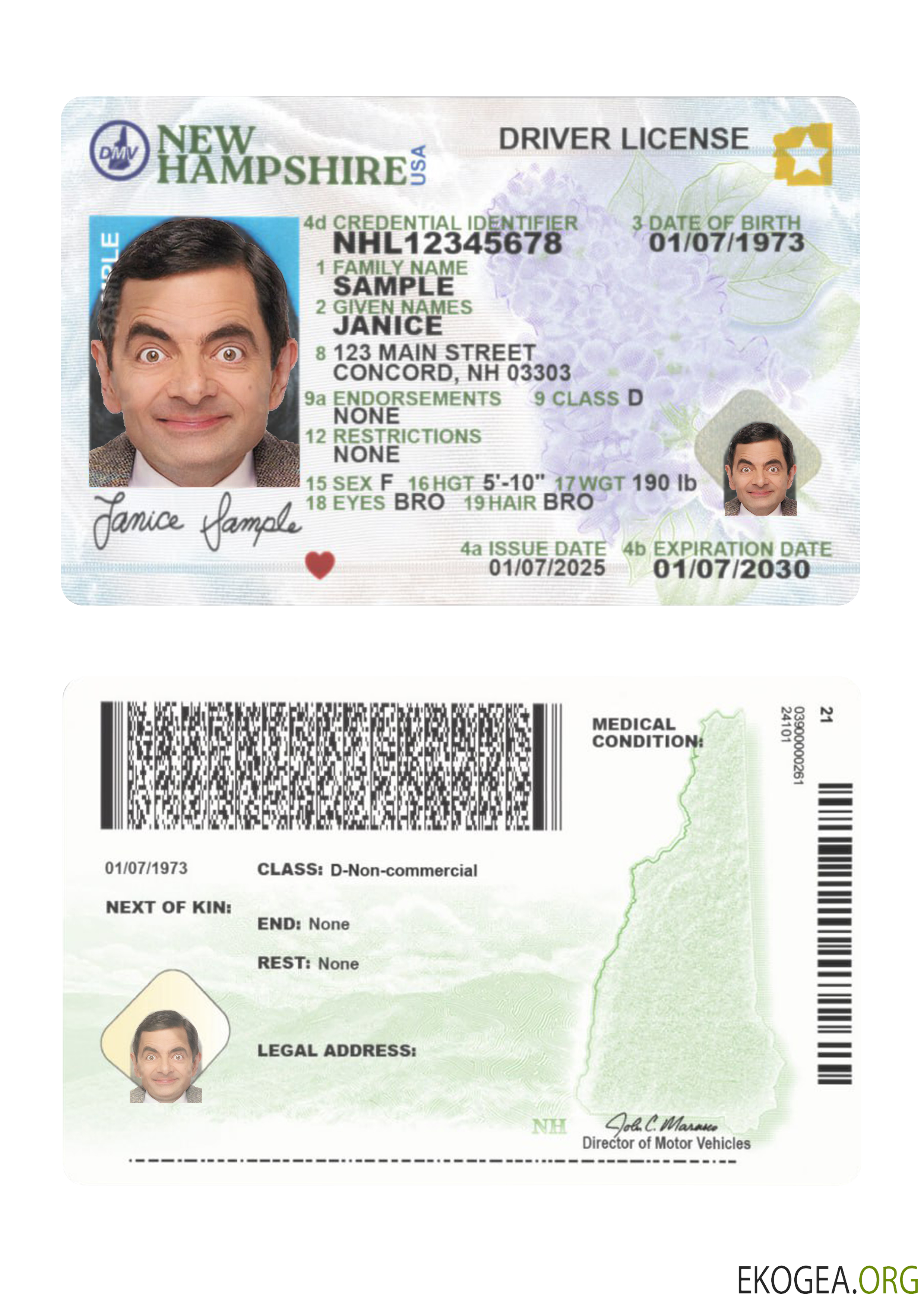 USA New Hampshire driving license 2025 present